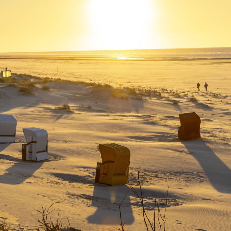 Strandk&ouml;rbe am Strand von Juist