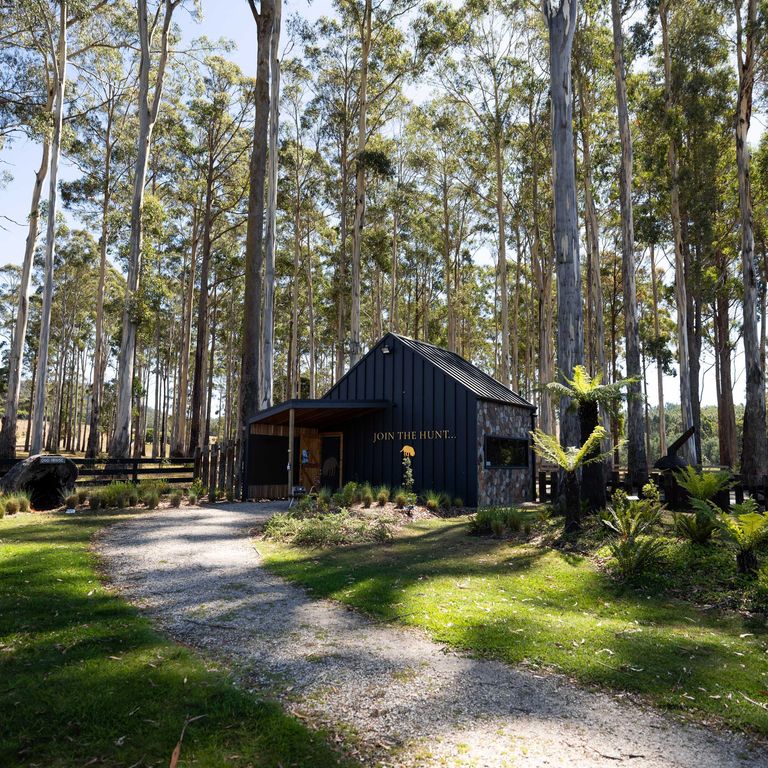 Gelände in Deloraine, das Anna Terry zur Trüffelsuche nutzt